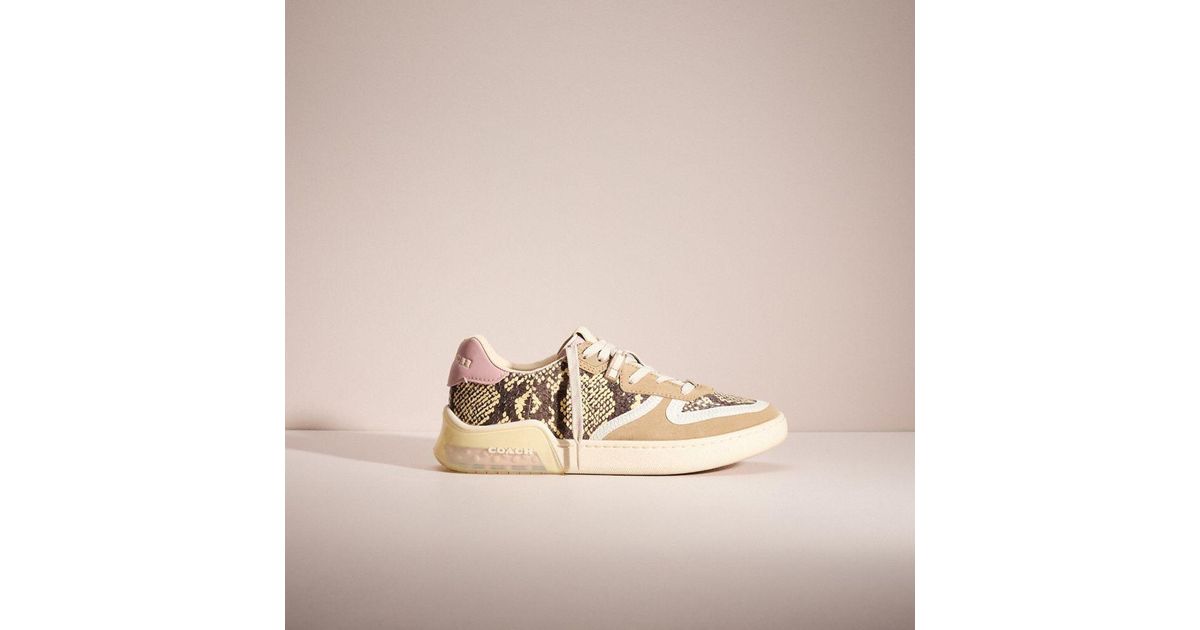 citysole court sneaker in snakeskin