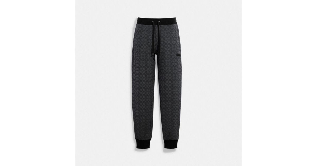 COACH Cotton Essential joggers In Signature in Grey for Men Lyst Canada