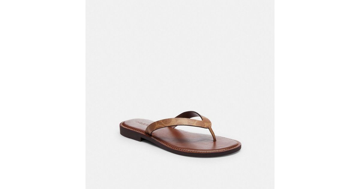 COACH Brianna Flip Flop Flat Sandals in Brown | Lyst