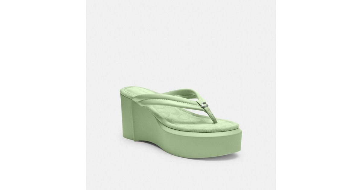 Coach platform flip flops sale