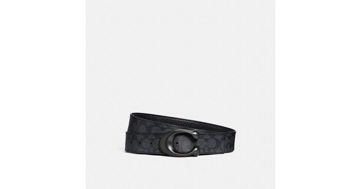 coach men belts