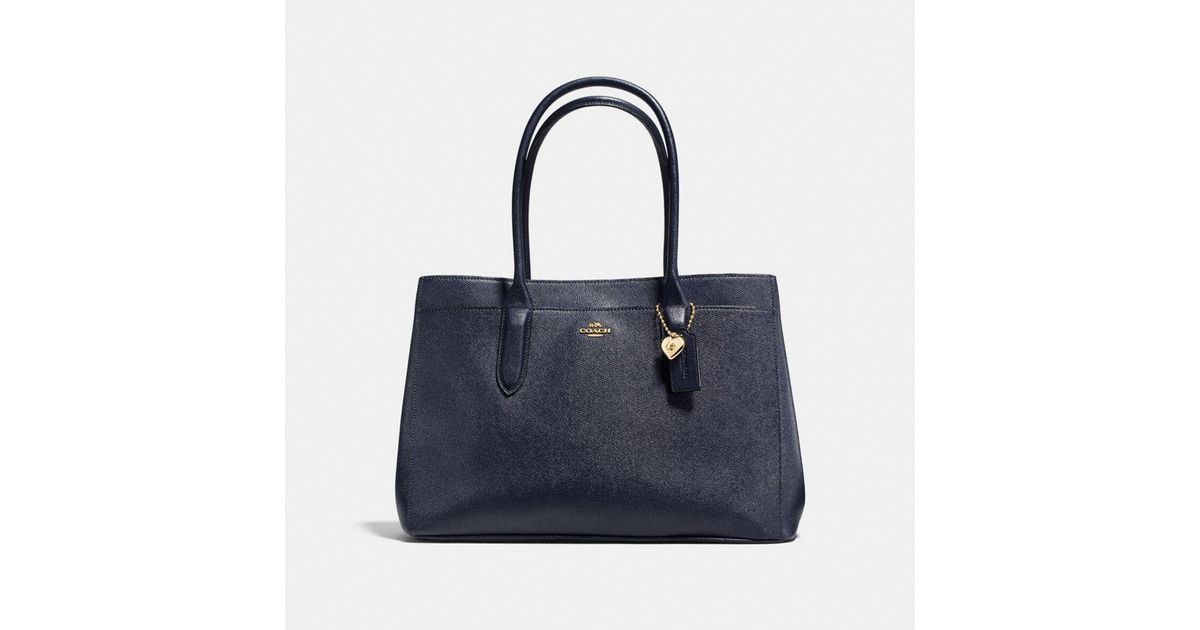 coach bailey carryall tote