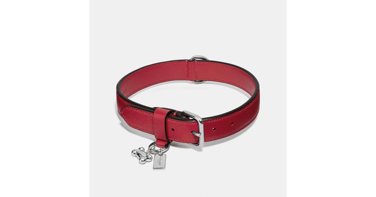 COACH Large Pet Collar in Red | Lyst