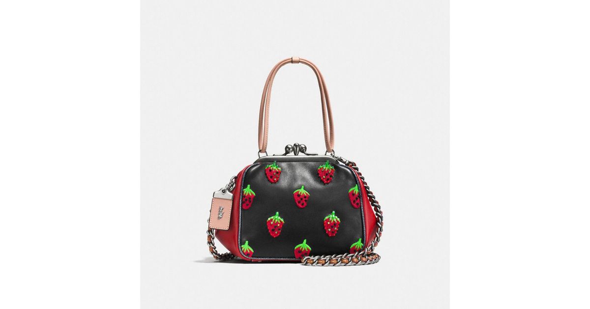 coach kisslock frame bag
