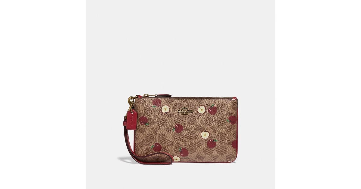 bolsa closet