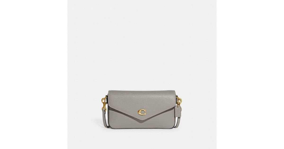 COACH Leather Wyn Crossbody in Gray Lyst