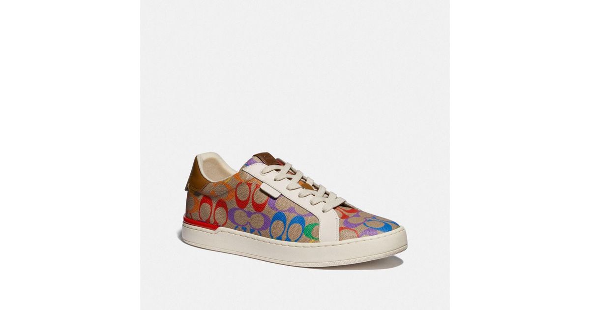 lowline low top sneaker in rainbow signature canvas