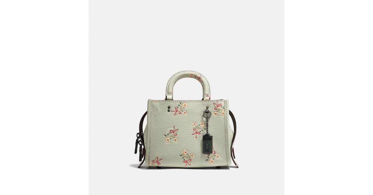 coach 1941 rogue 17