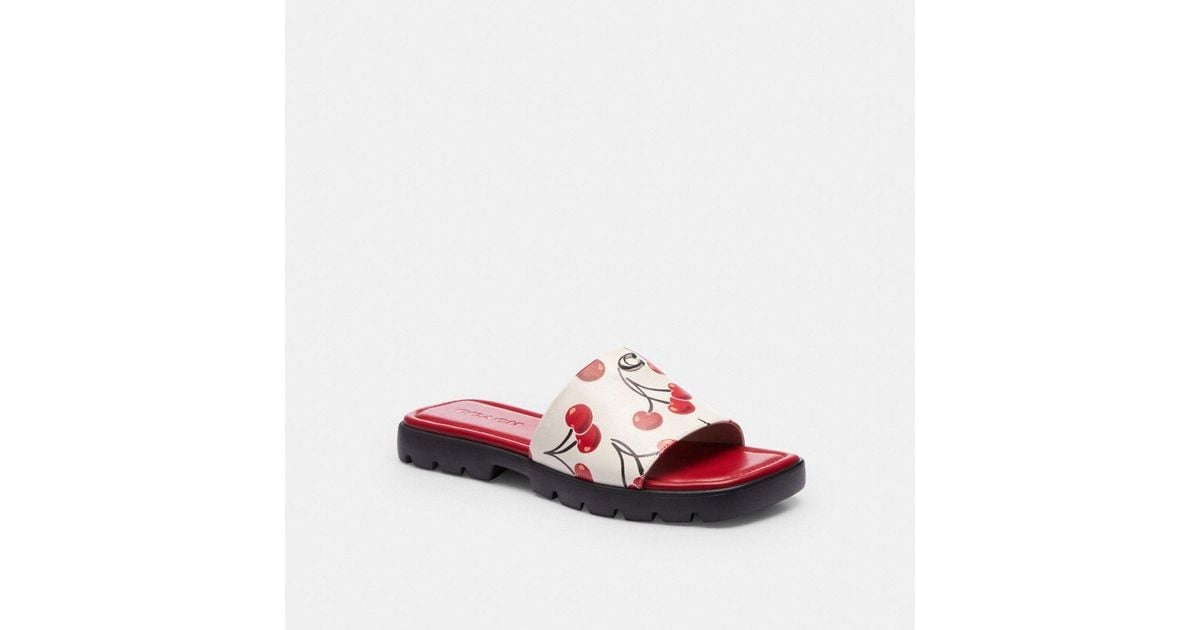 COACH CHERRY サンダル COACH Women's Florence Cherry Print Sandals - Macy's
