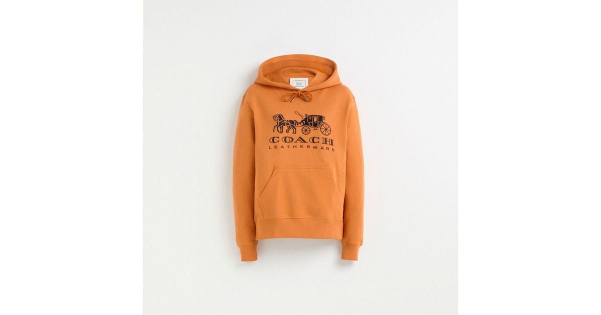 coach-Papaya-Restored-Horse-