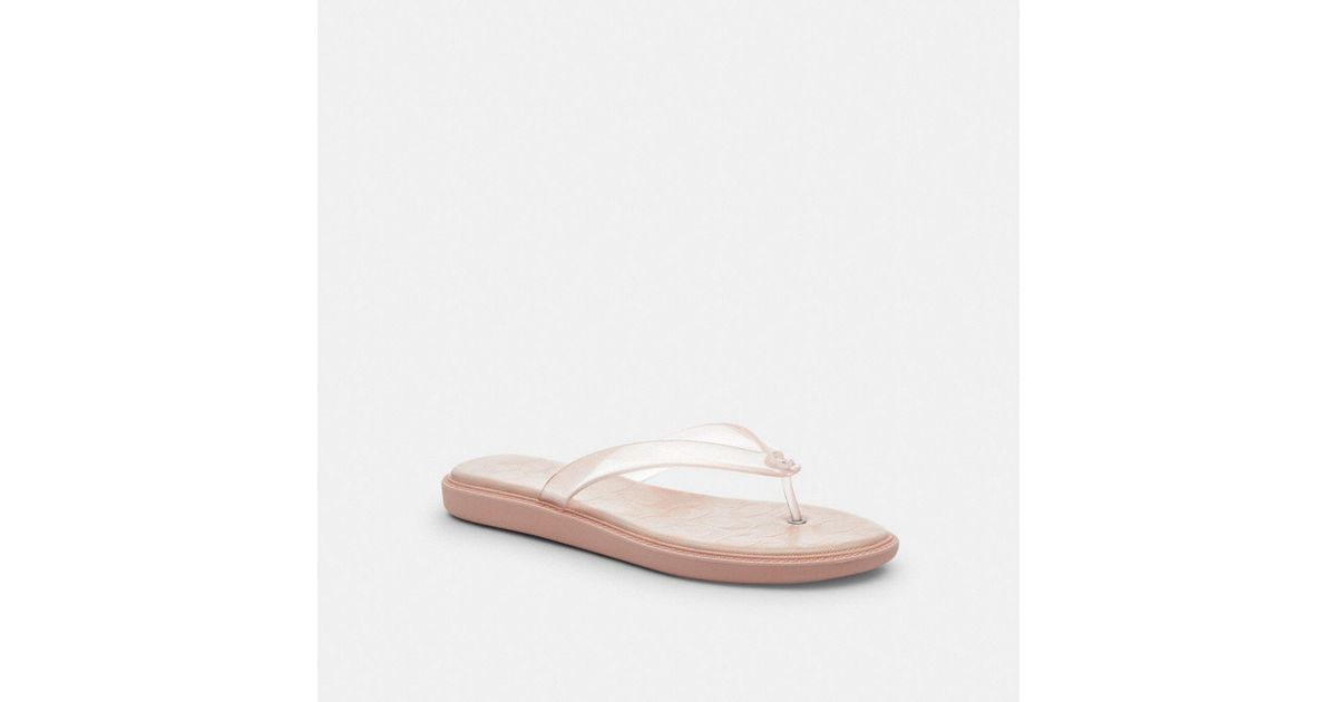 COACH Jelly Flip Flop In Signature in Pink | Lyst