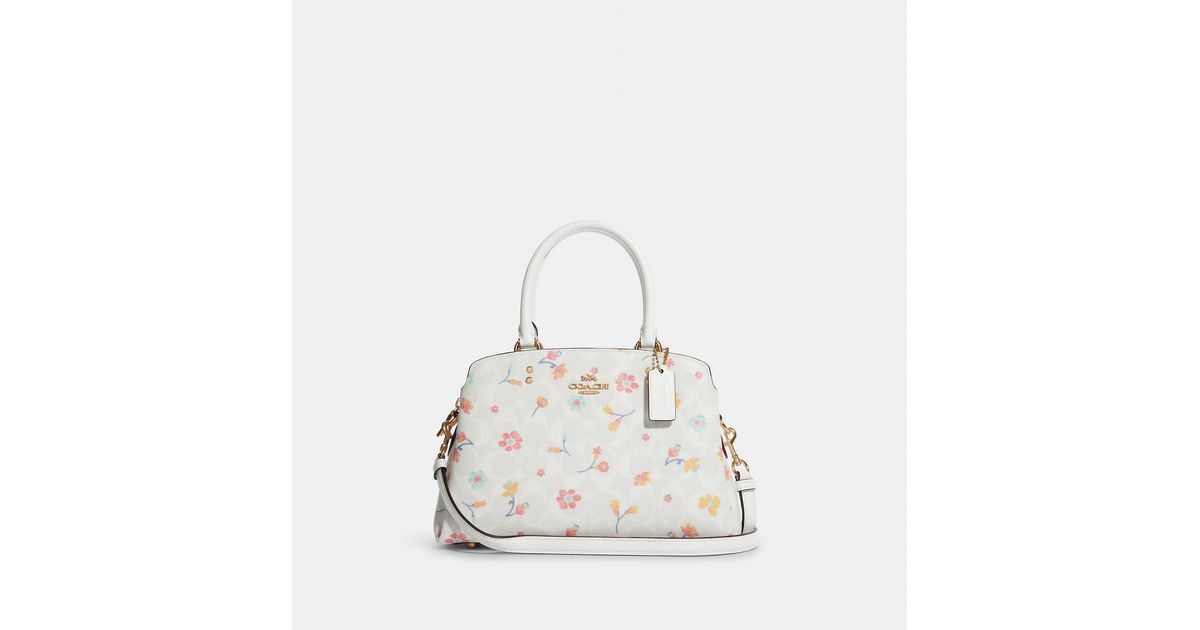 coach outlet mini lillie carryall