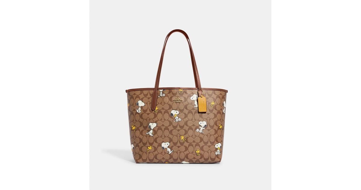 coach-outlet-Brown-Coach-X-