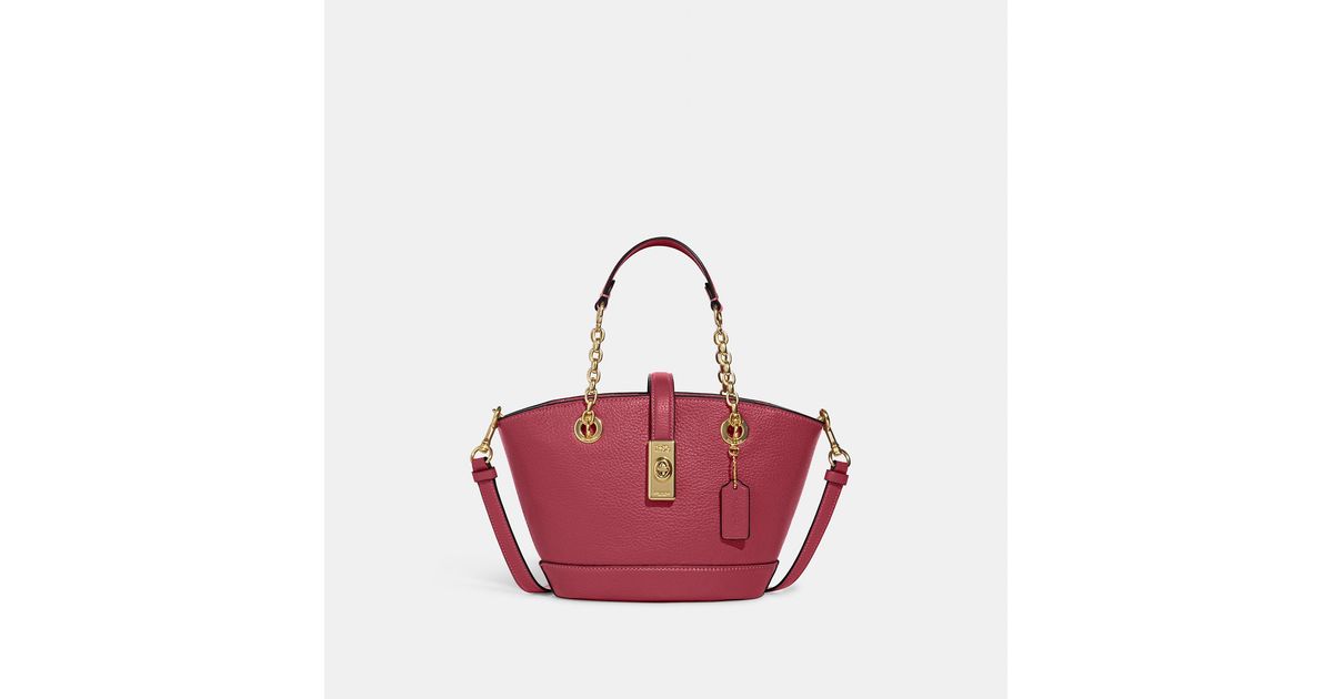 coach lane bucket bag