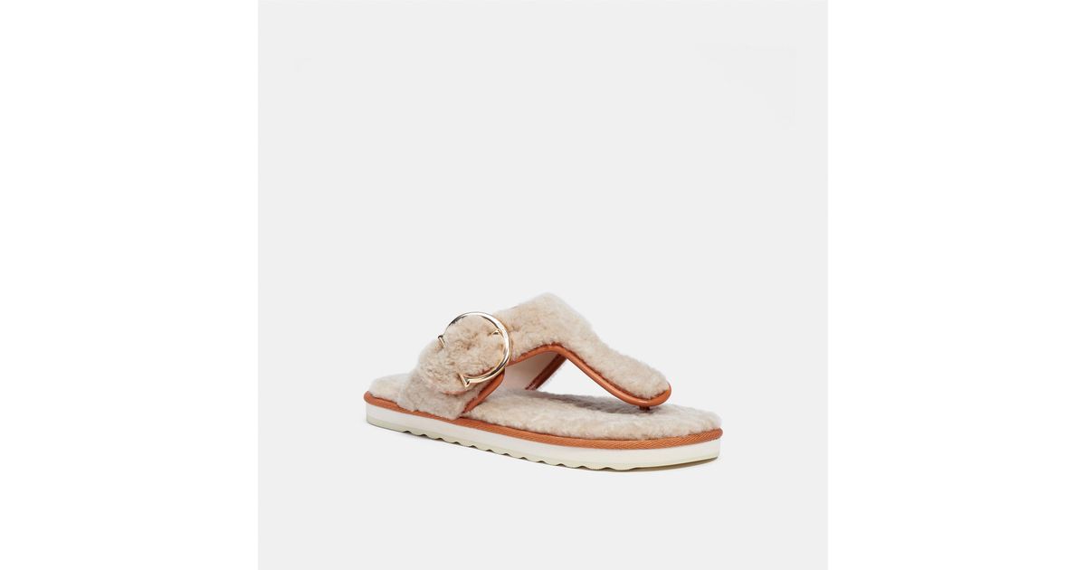 Coach | Shoes | New Coach Hollie Shearling Flip Flop | Poshmark