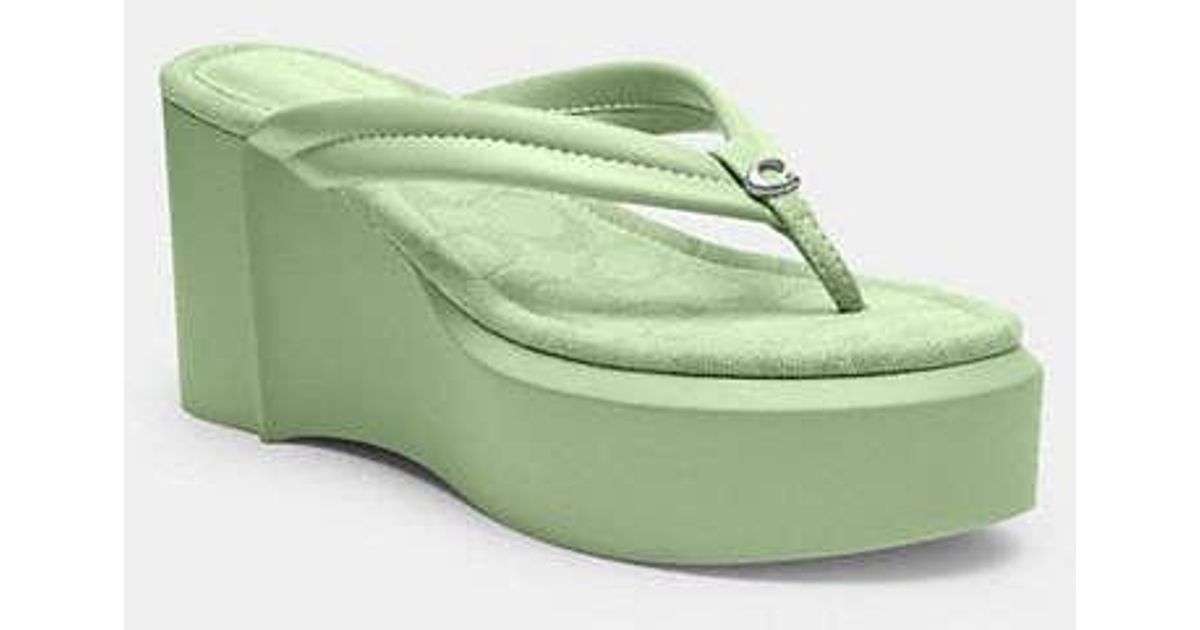 franki flip flop coach