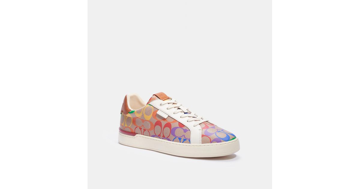 lowline low top sneaker in rainbow signature canvas