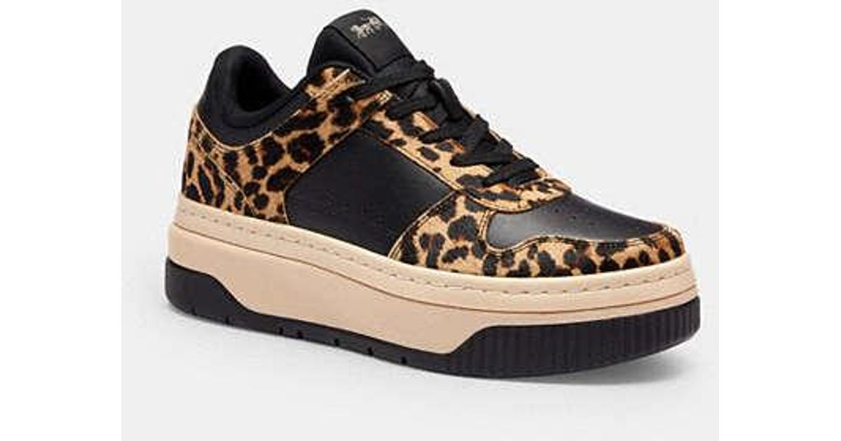 COACH Platform Sneaker With Leopard Print in Black | Lyst