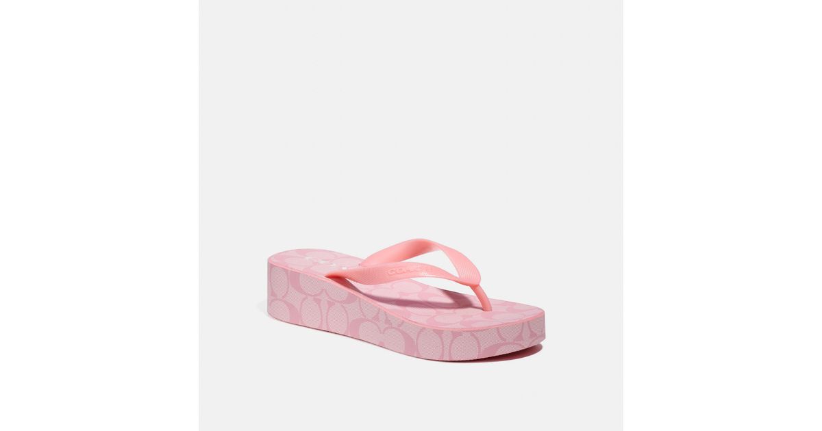 Coach Outlet Lynn Flip Flop in Pink Lyst