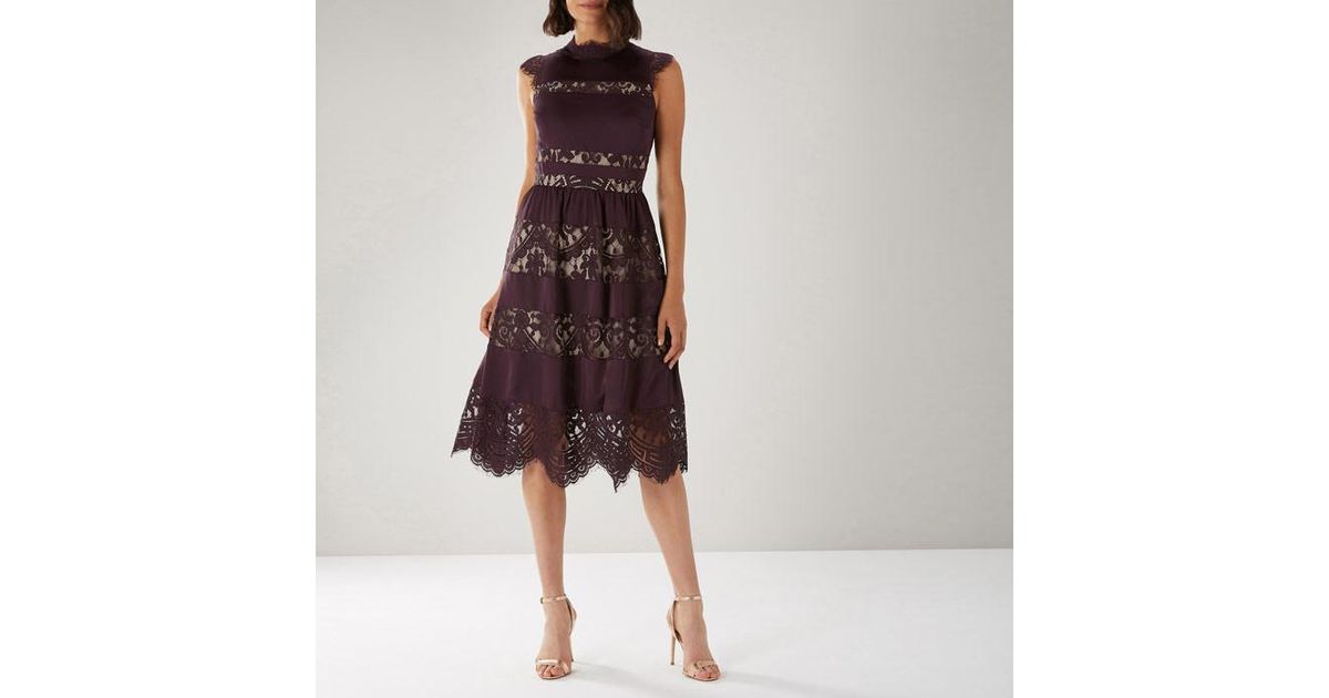 coast leah lace dress