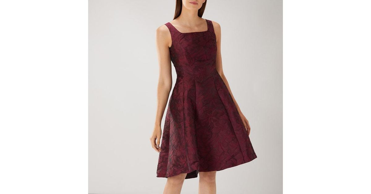 coast ava may jacquard dress