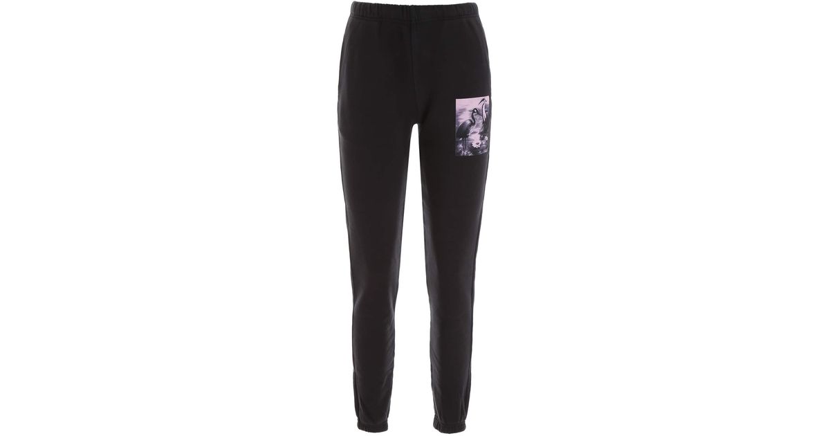 preston innovations joggers