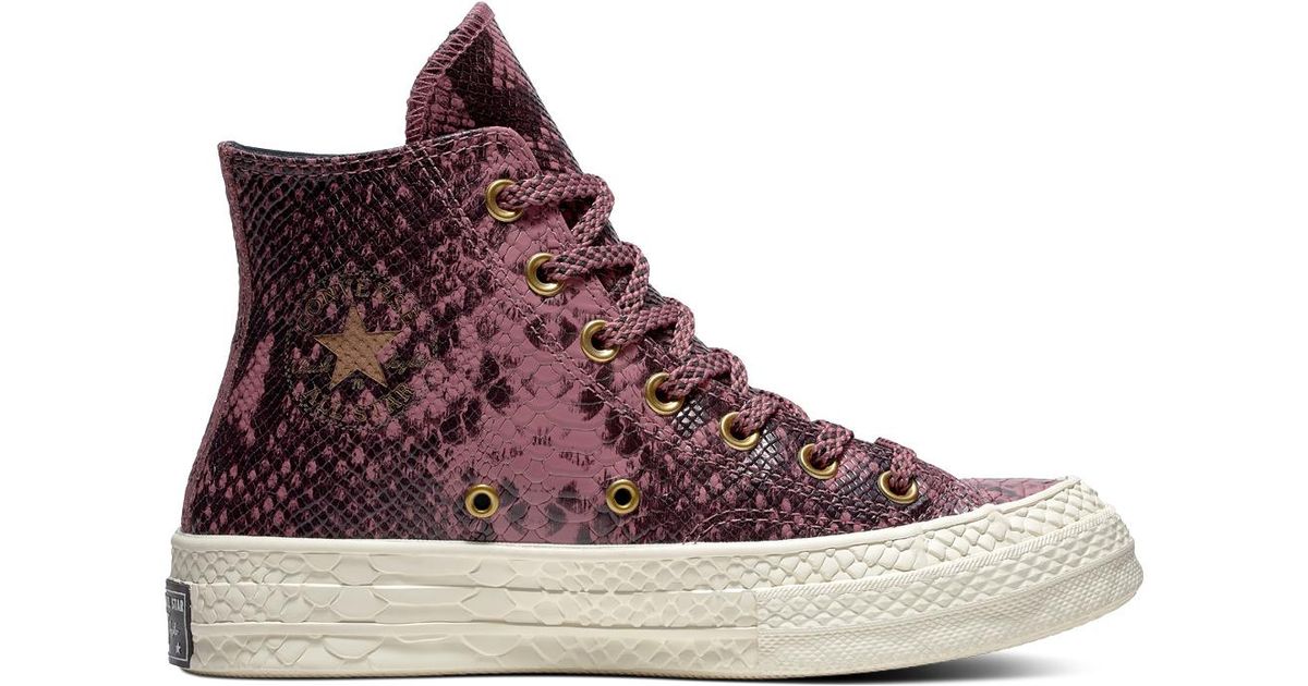 converse reptile Online Shopping for 