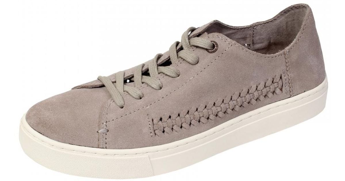 toms lenox suede sneaker