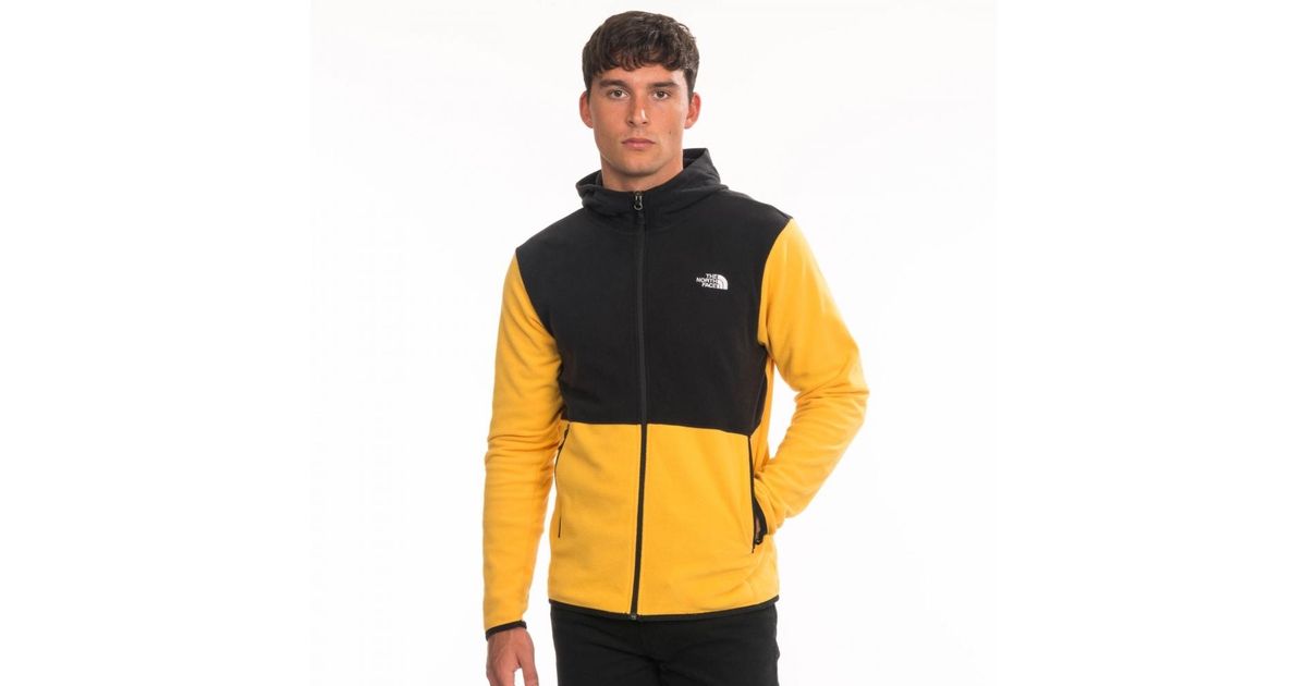 patagonia women's synchilla oatmeal