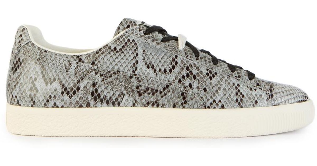 puma clyde snake