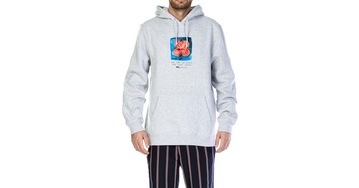 hibiscus hood stussy