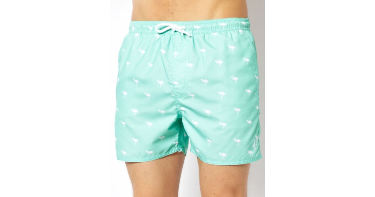 flamingo swim shorts