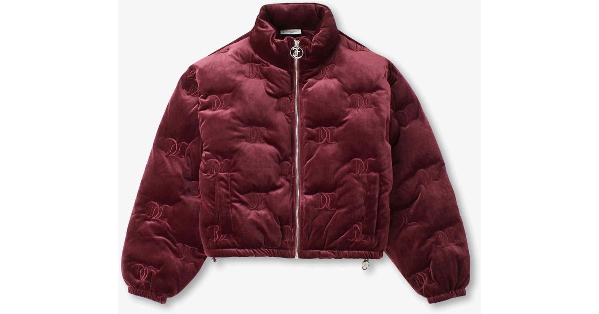 Dkny velour padded jacket hot sale