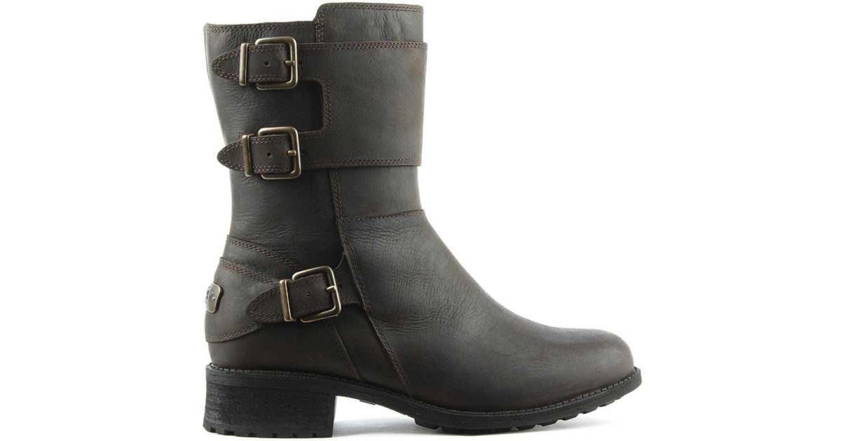 UGG Wilcox Stout Leather Biker Boot in Brown Leather (Brown) - Lyst