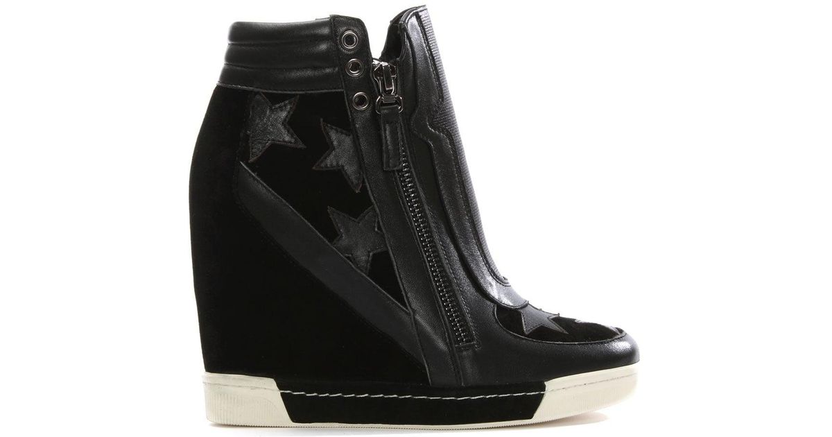daniel wedge trainers
