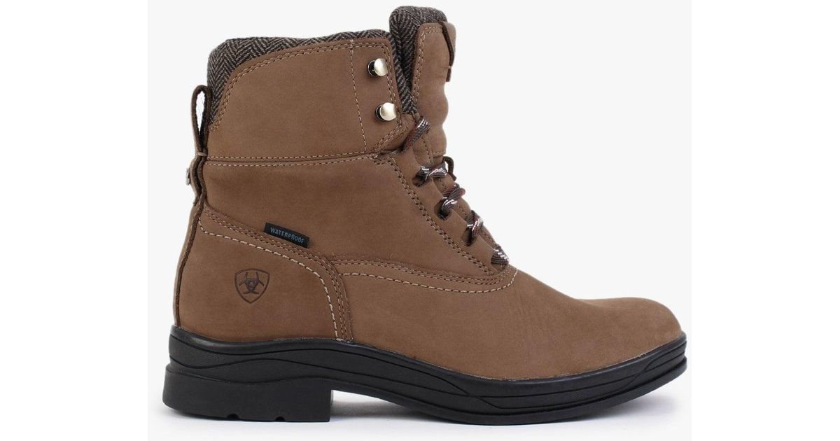 Ariat loxley boot top