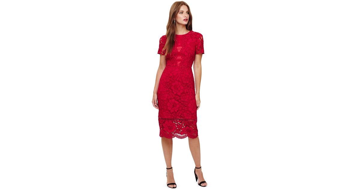 phase eight darena dress red