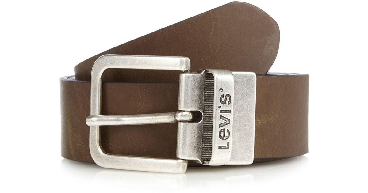 levi belt debenhams