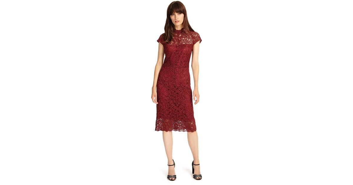 phase eight becky lace dress