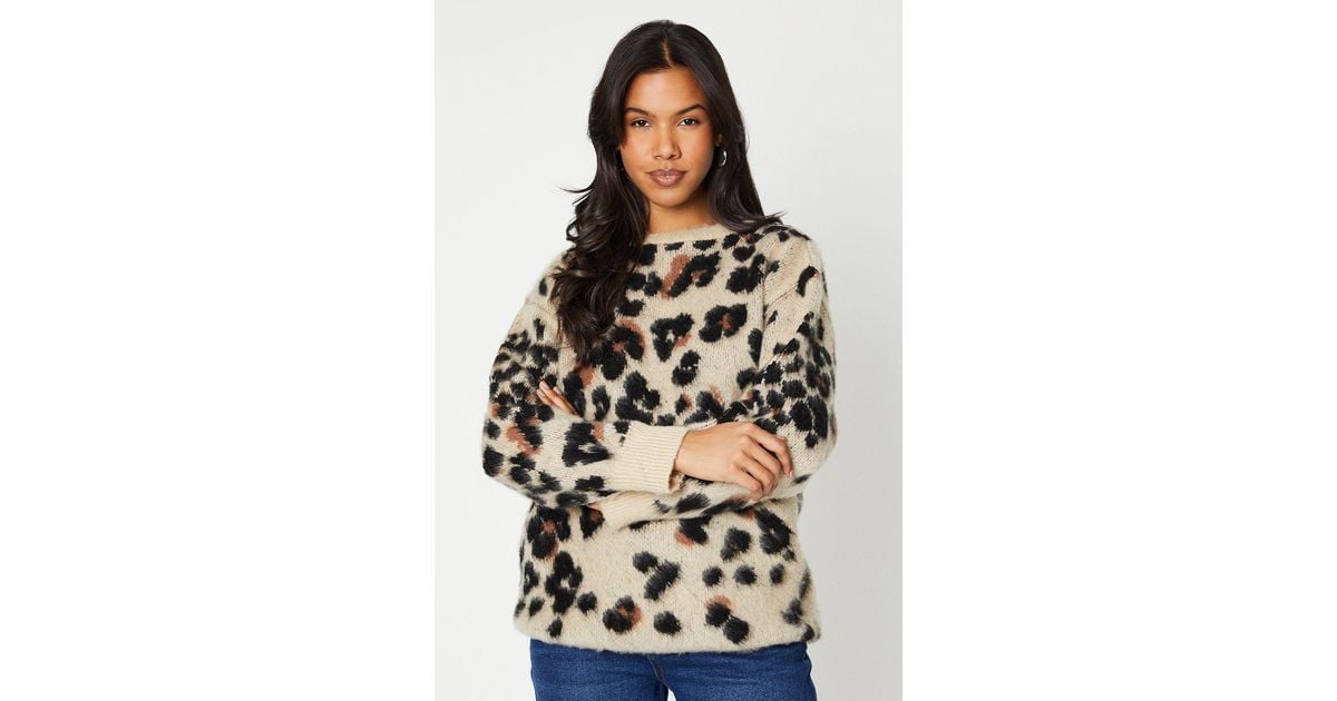Leopard print top jumper dorothy perkins