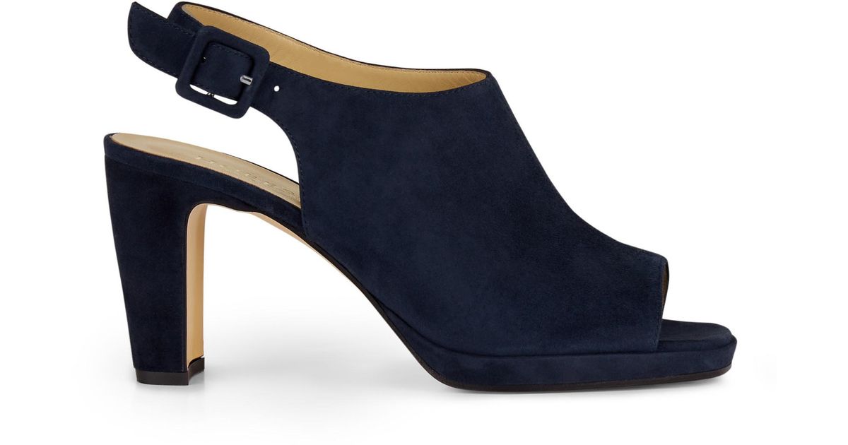 hobbs navy sandals