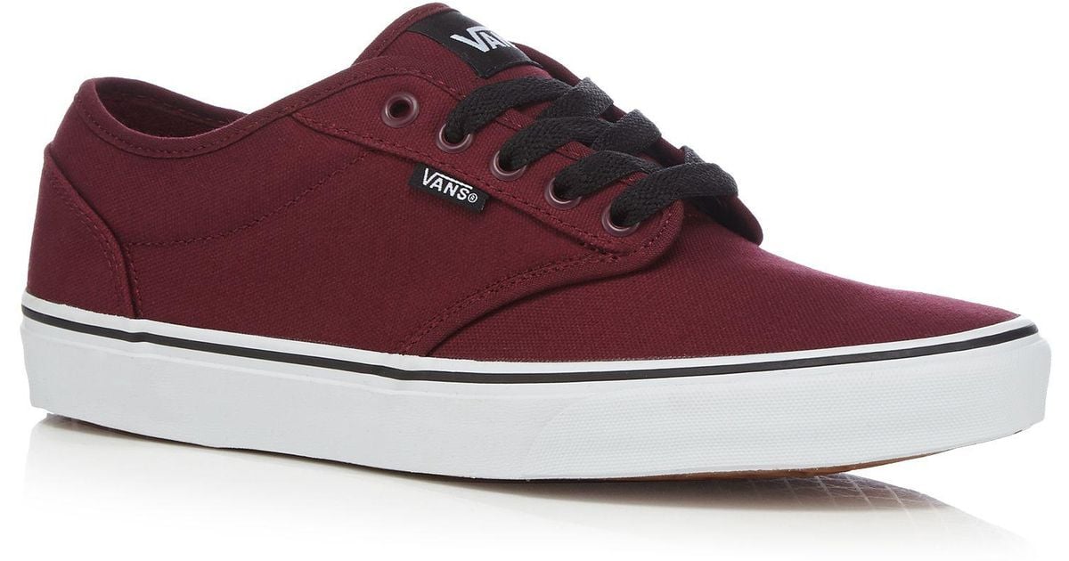 red wine vans