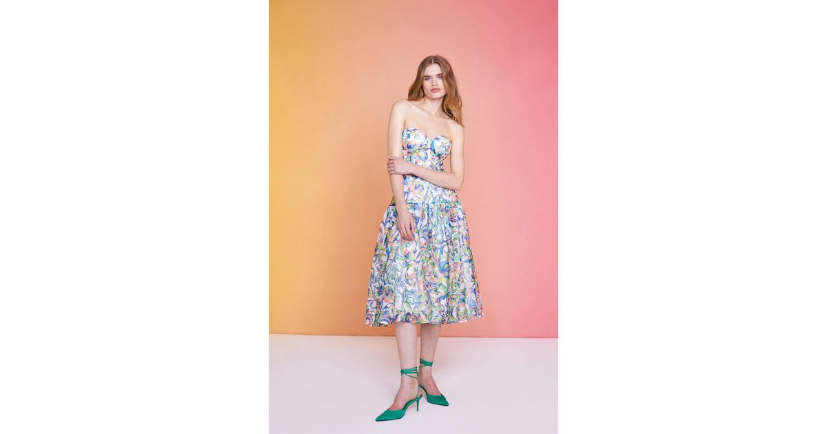 Coast ivory floral store print skirt dress