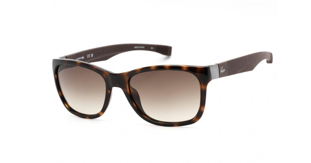 Lacoste L662s Sunglasses Havana / Brown Gradient Lyst