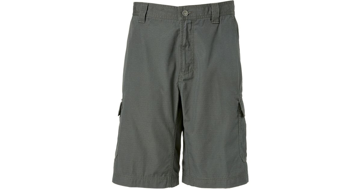 men's the north face cargo shorts