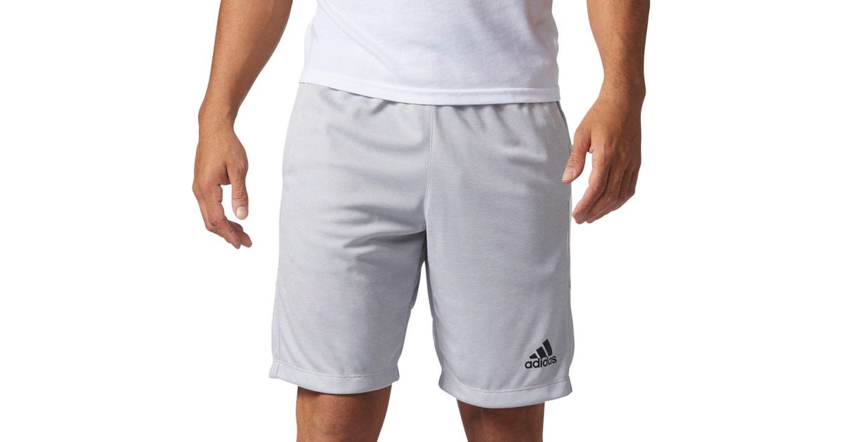 adidas printed shorts