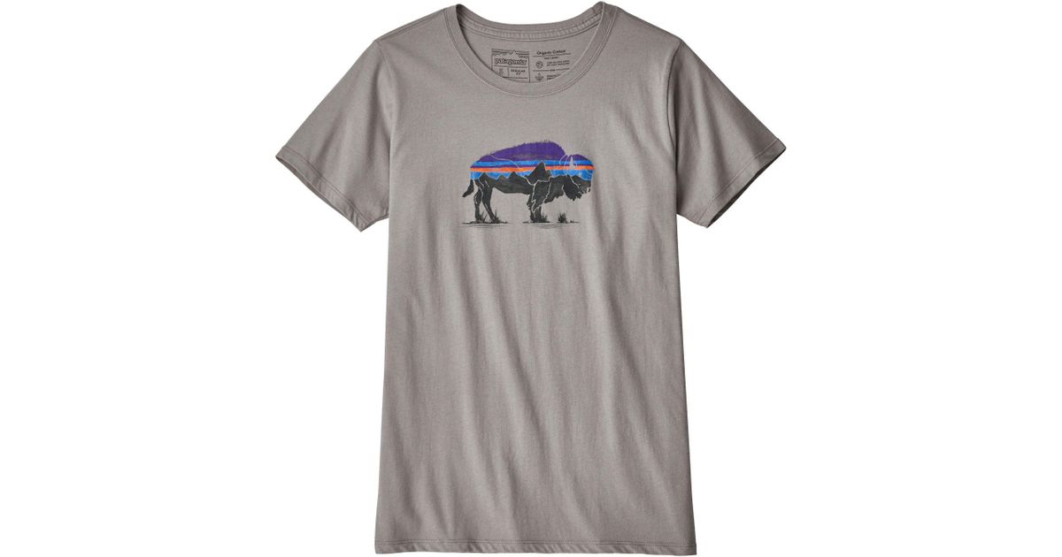 patagonia tshirt grey