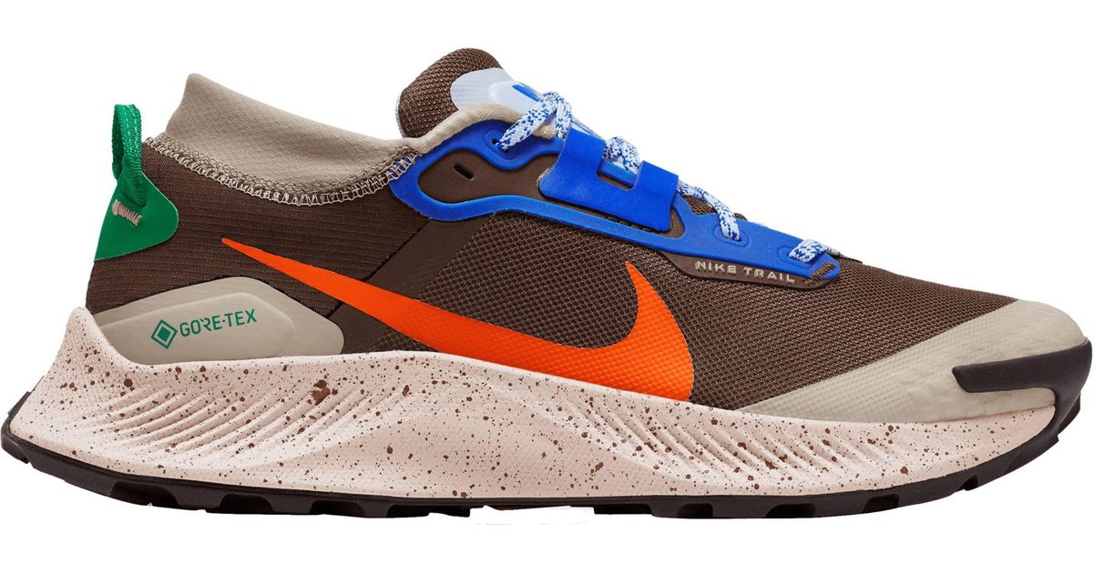 dicks sporting goods nike pegasus