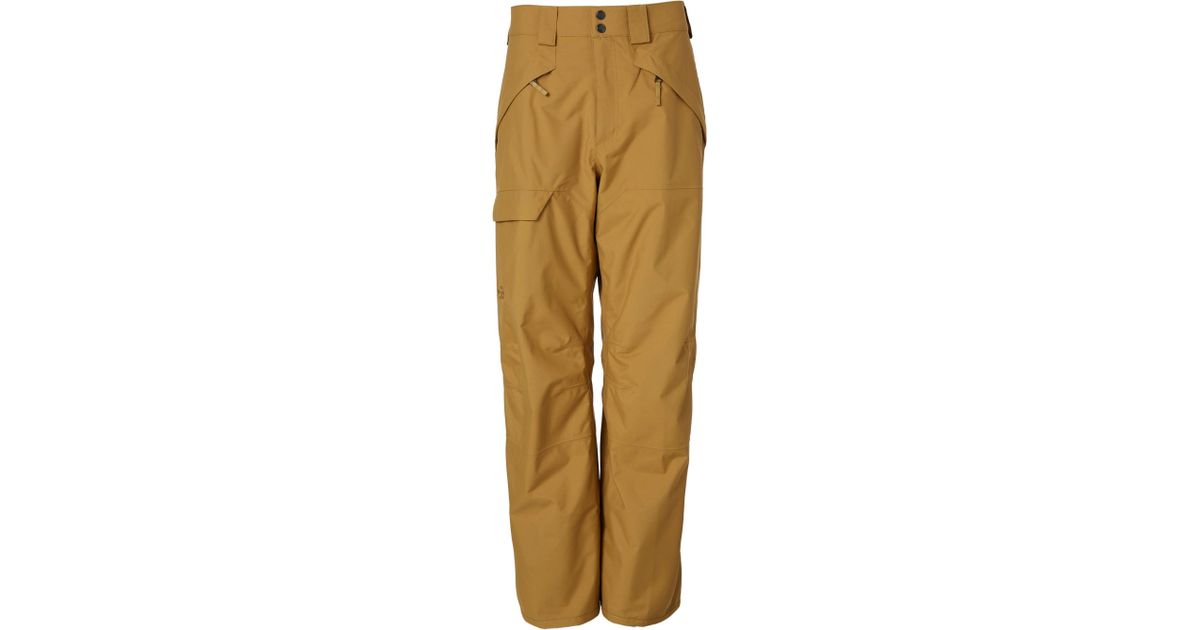 north face men's seymore ski pants
