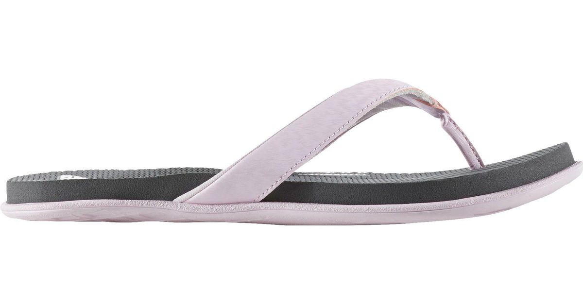 adidas cloudfoam thong